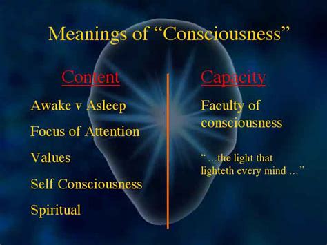 what is meant by consciousness.